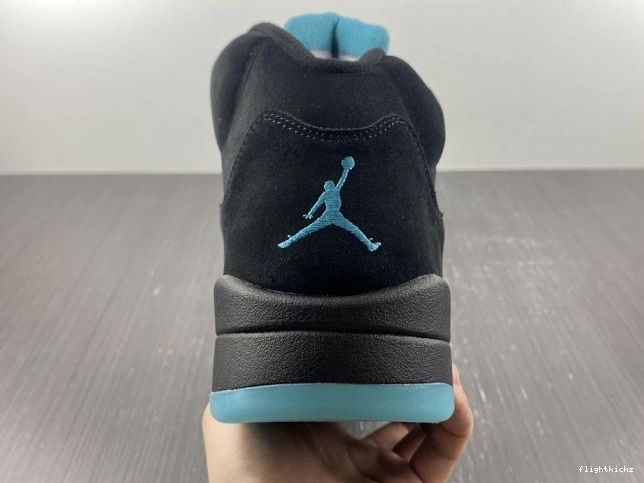 Aqua Air 5 Jordan DD0587-047 0827